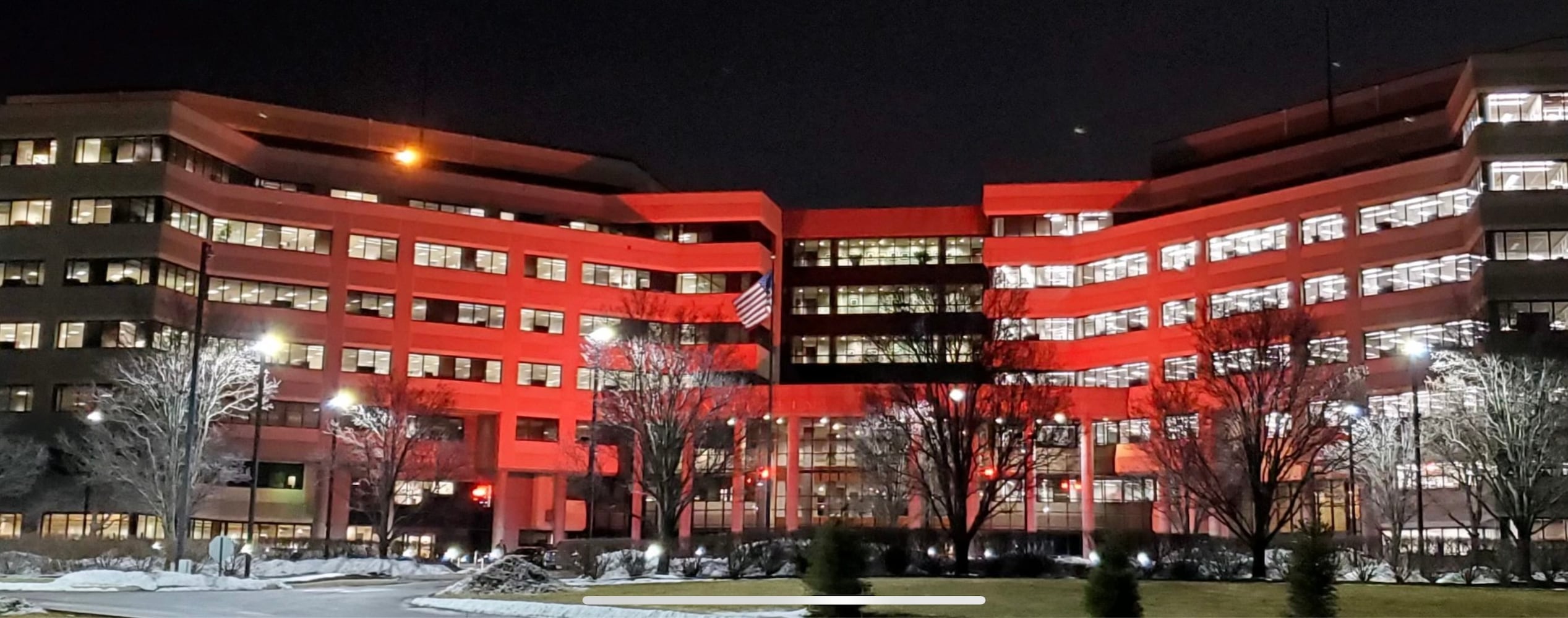 Cincinnati Financial Bengals Glow