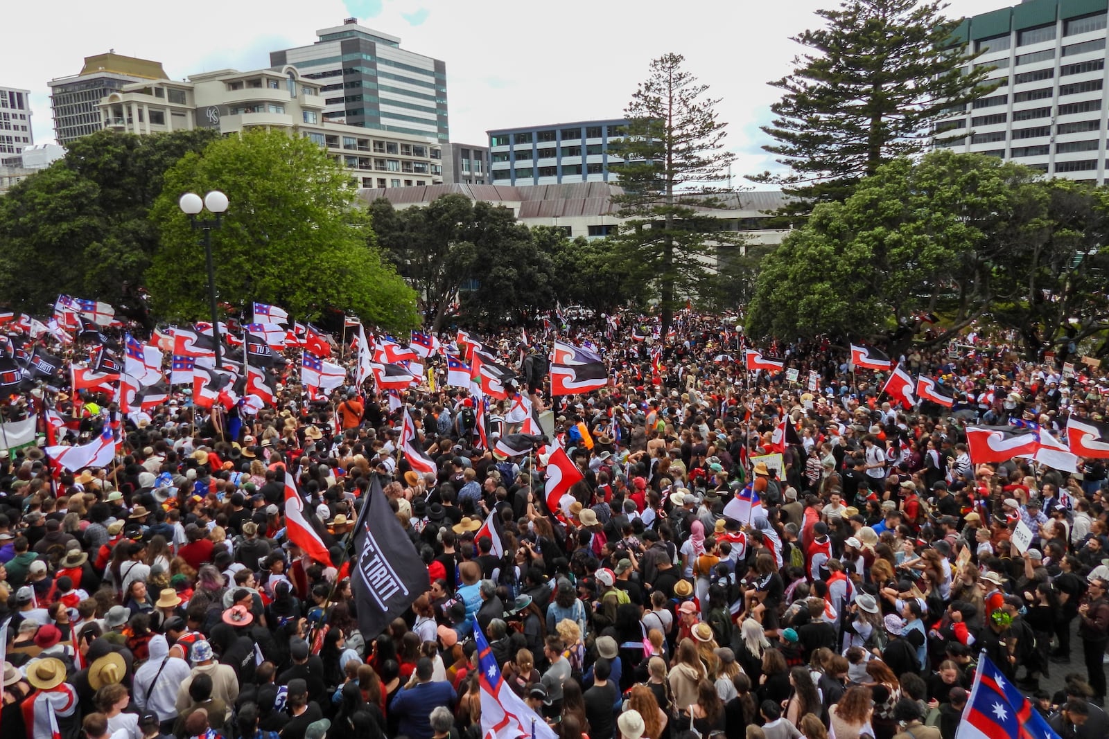 Thousands of people gather outside New Zealand's parliament to protest a proposed law that would redefine the country's founding agreement between Indigenous Māori and the British Crown, in Wellington Tuesday, Nov. 19, 2024. (AP Photo/Charlotte McLay-Graham)