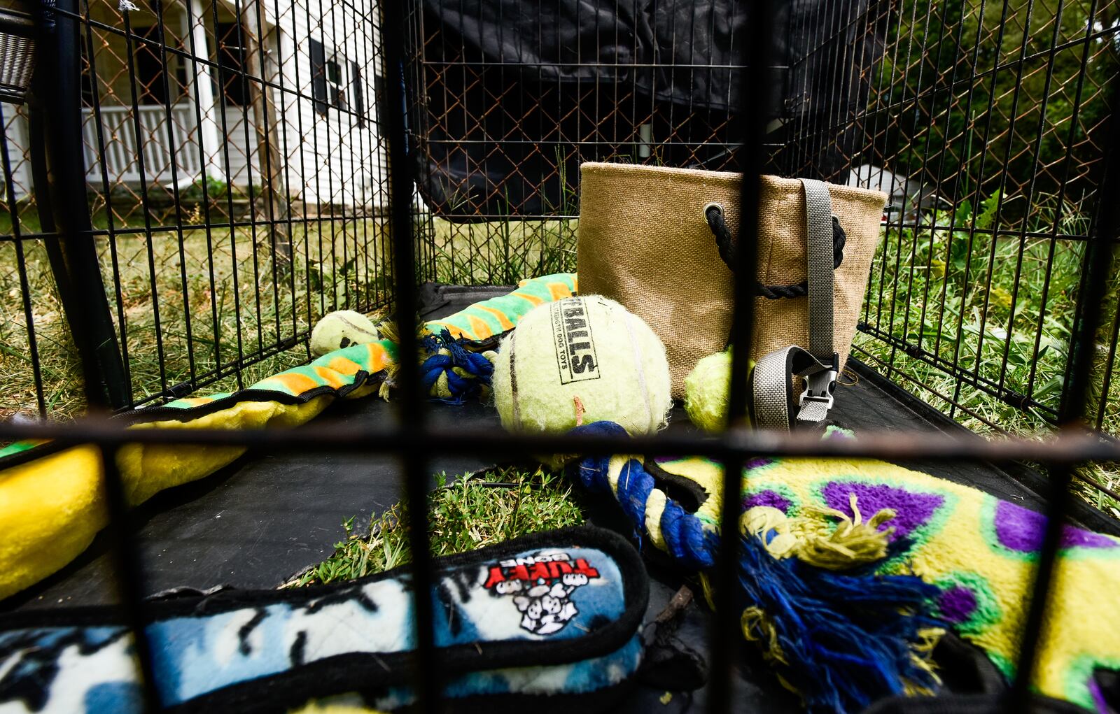 A German Shepherd named Ruger had to be put down from injuries sustained after a neighbor allegedly hit the dog with a baseball bat. Kevin Foster has the cage in his front yard with a sign saying "Be Their Voice" as a message to people driving by. NICK GRAHAM/STAFF