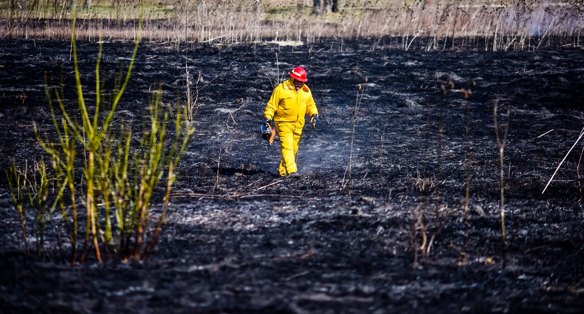 Controlled burns at Riverside Natural Area in Hamilton