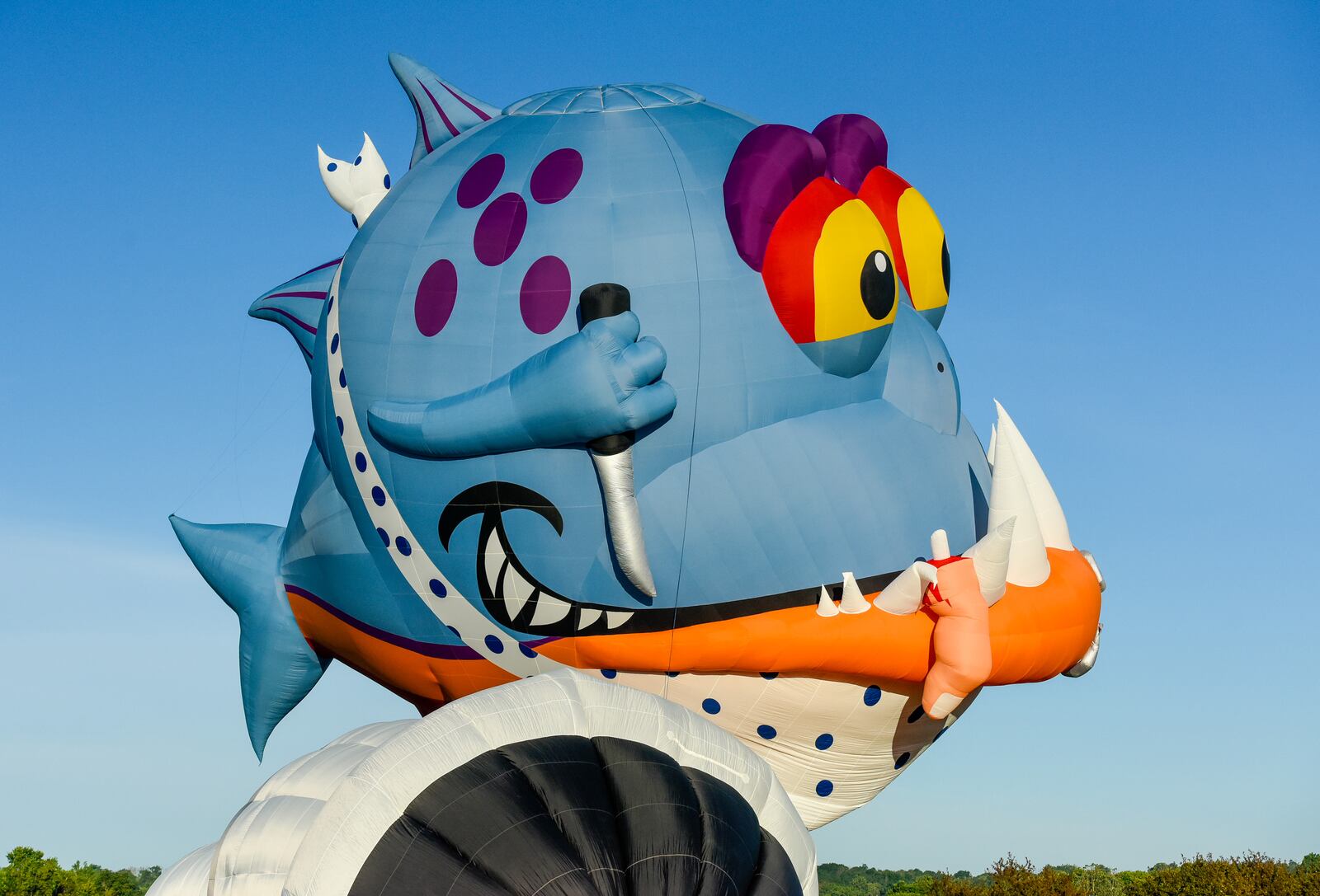 The special-shaped piranha balloon from Brazil was inflated for attendees to get a closer look Saturday morning during the Ohio Challenge Hot Air Balloon Festival at Smith Park in Middletown.  NICK GRAHAM/STAFF