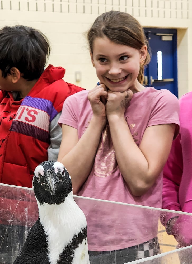 030122 penguin at Creekview elementary