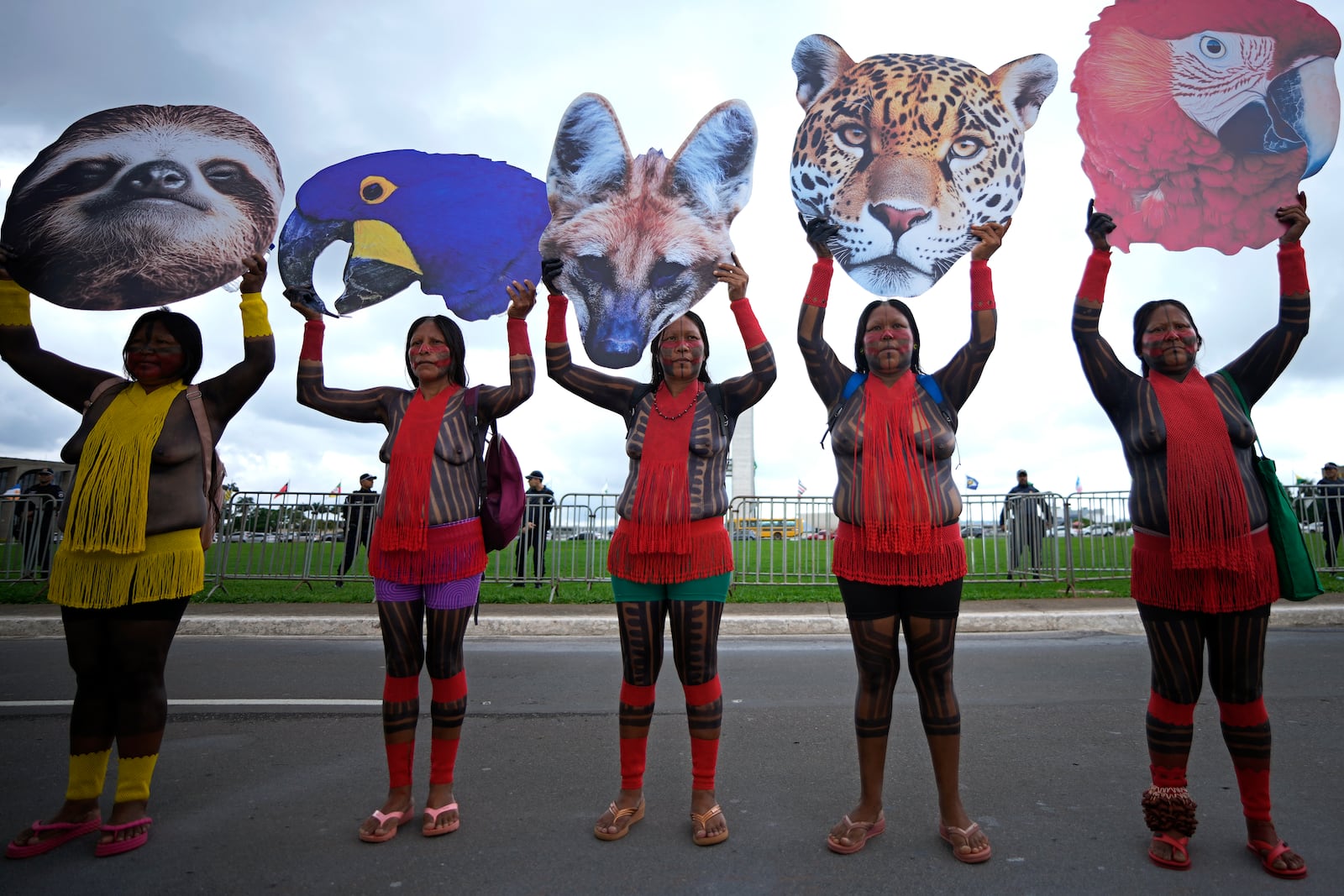 Indigenous women hold up cutouts of animals representing biodiversity, during a protest against the prospective creation of a benchmark time limit that threatens to strip some Indigenous lands, in Brasilia, Brazil, Wednesday, Oct. 30, 2024. (AP Photo/Eraldo Peres)