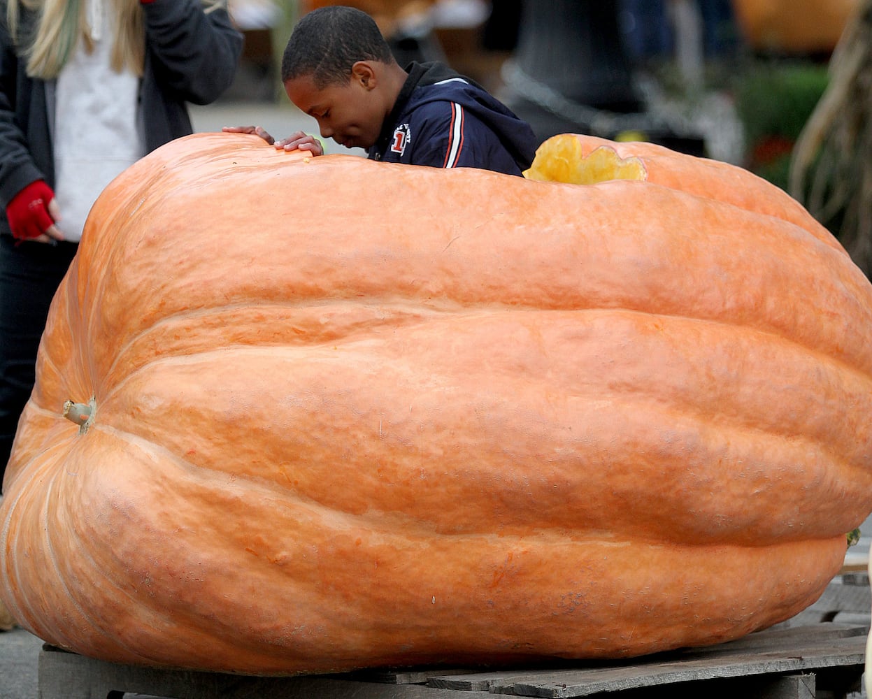 PHOTOS Operation Pumpkin through the years.