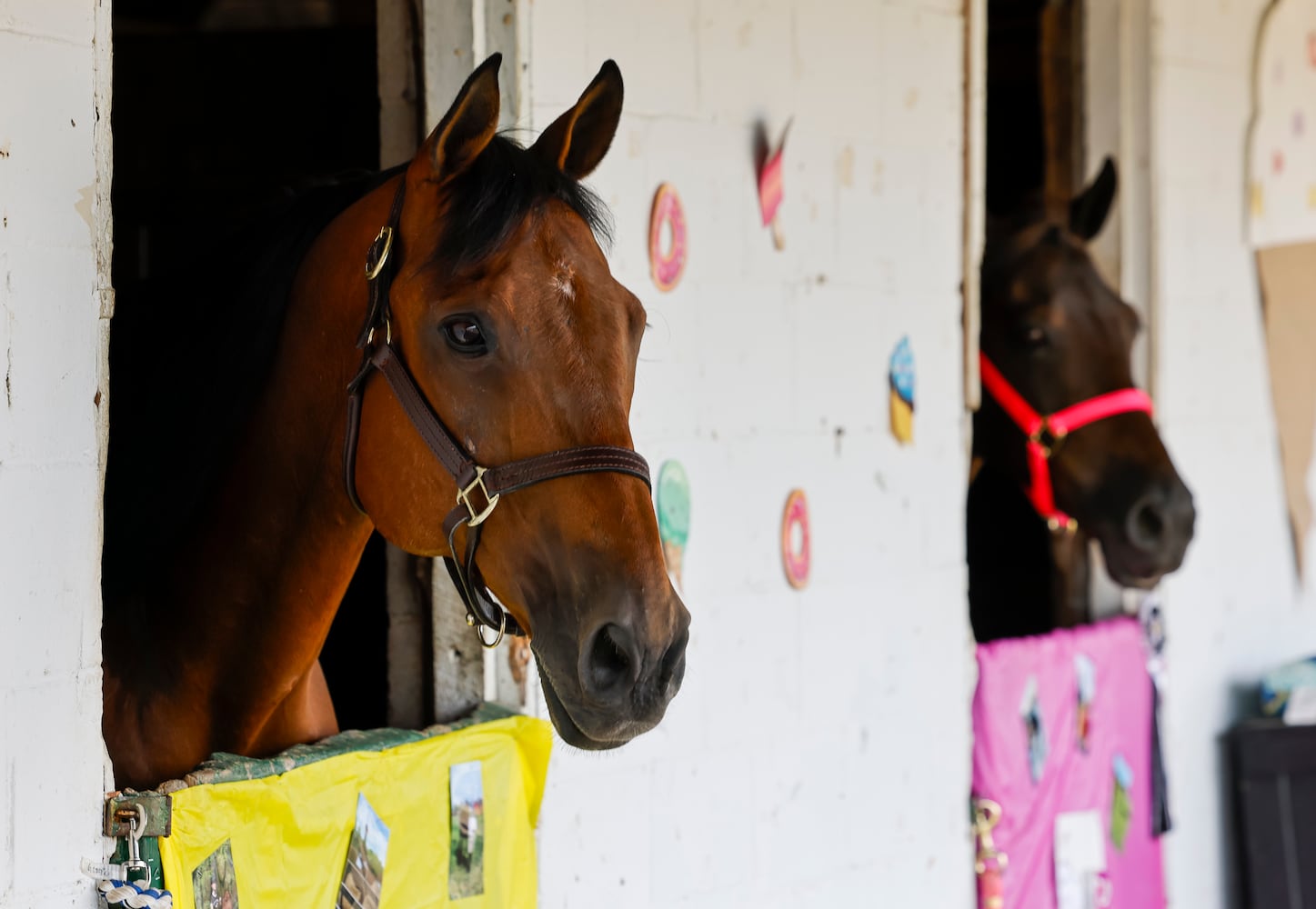 072423 Butler County Fair