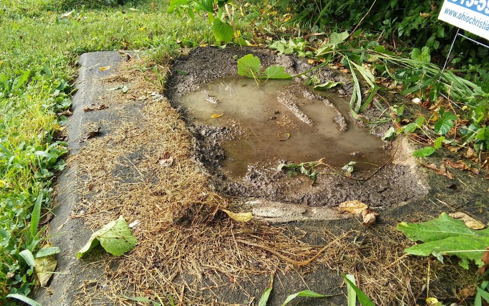 A Confederate monument in Franklin was removed overnight by the city. 