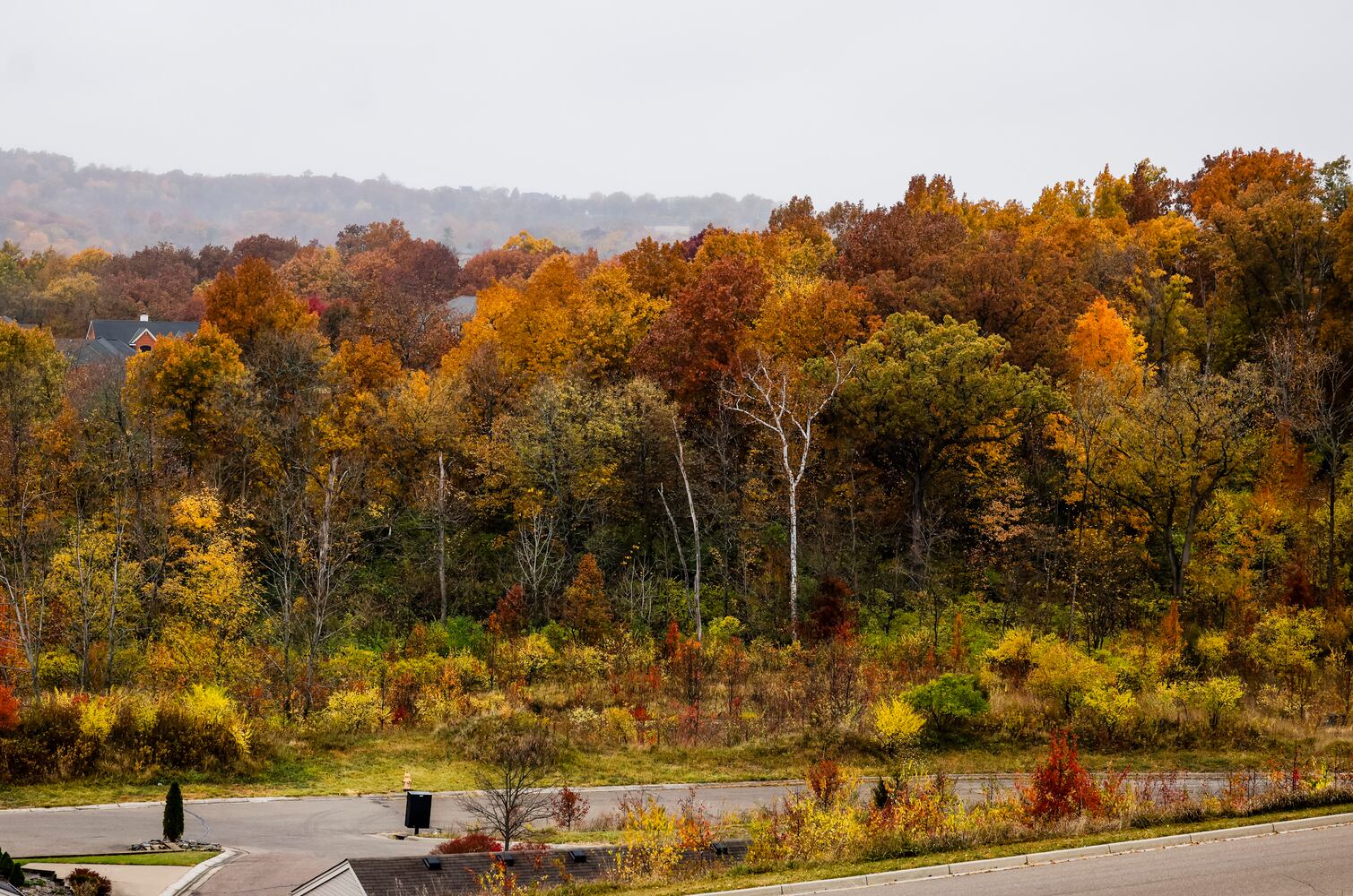 102622 fall colors butler county