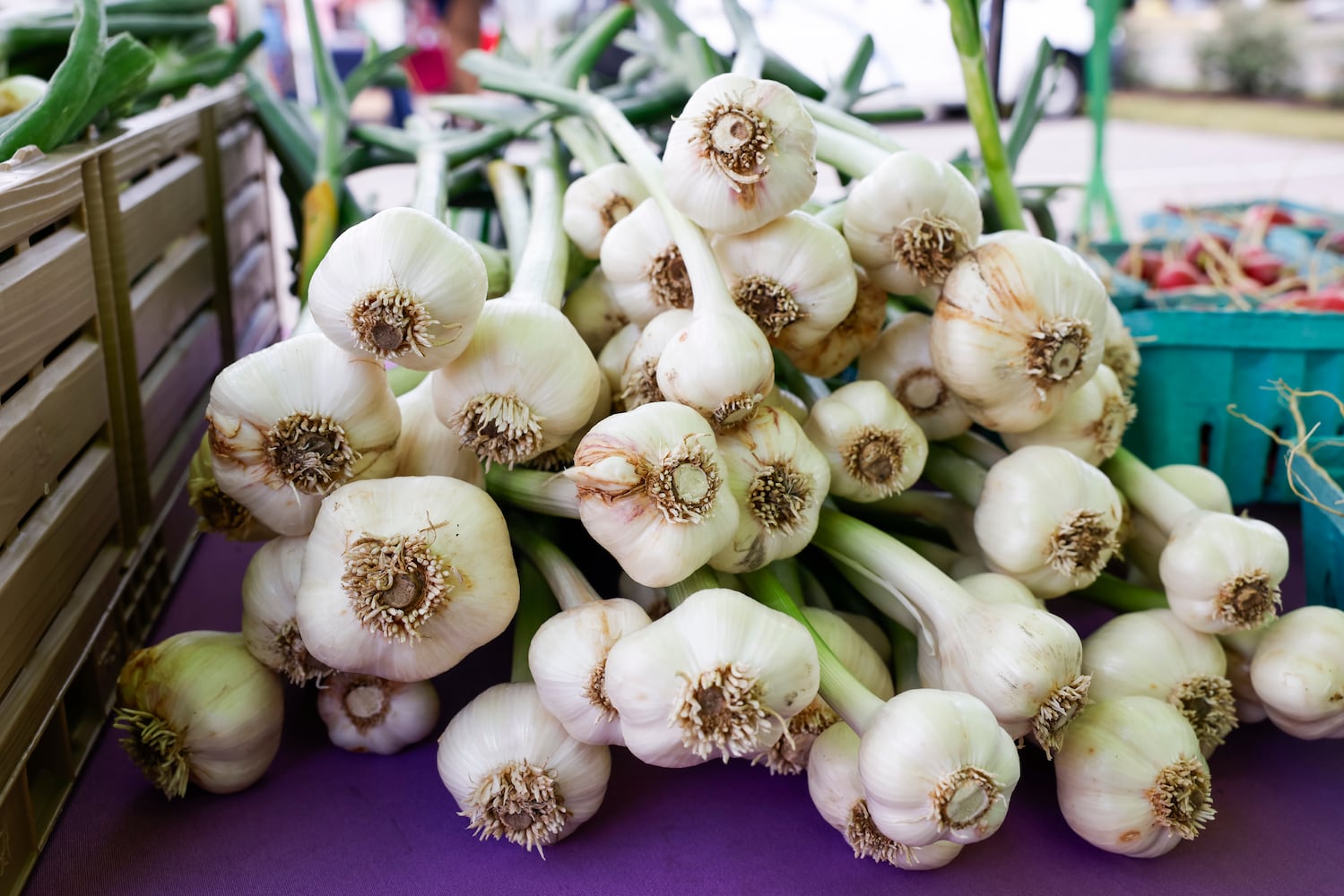 061423 Middletown Farmers Market