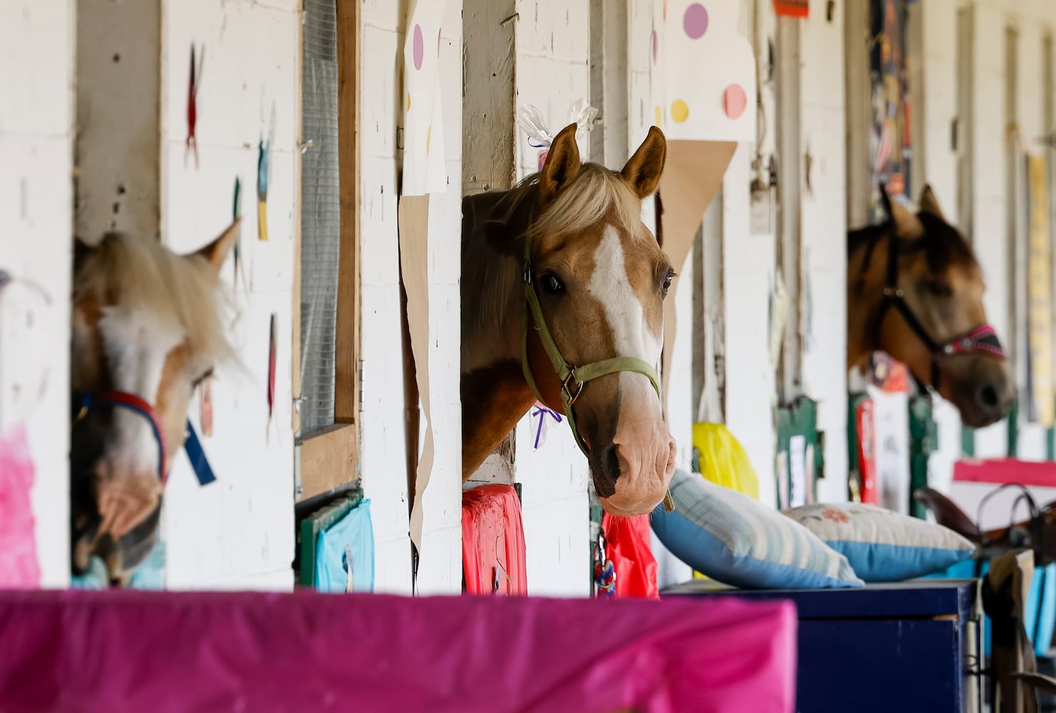 072423 Butler County Fair