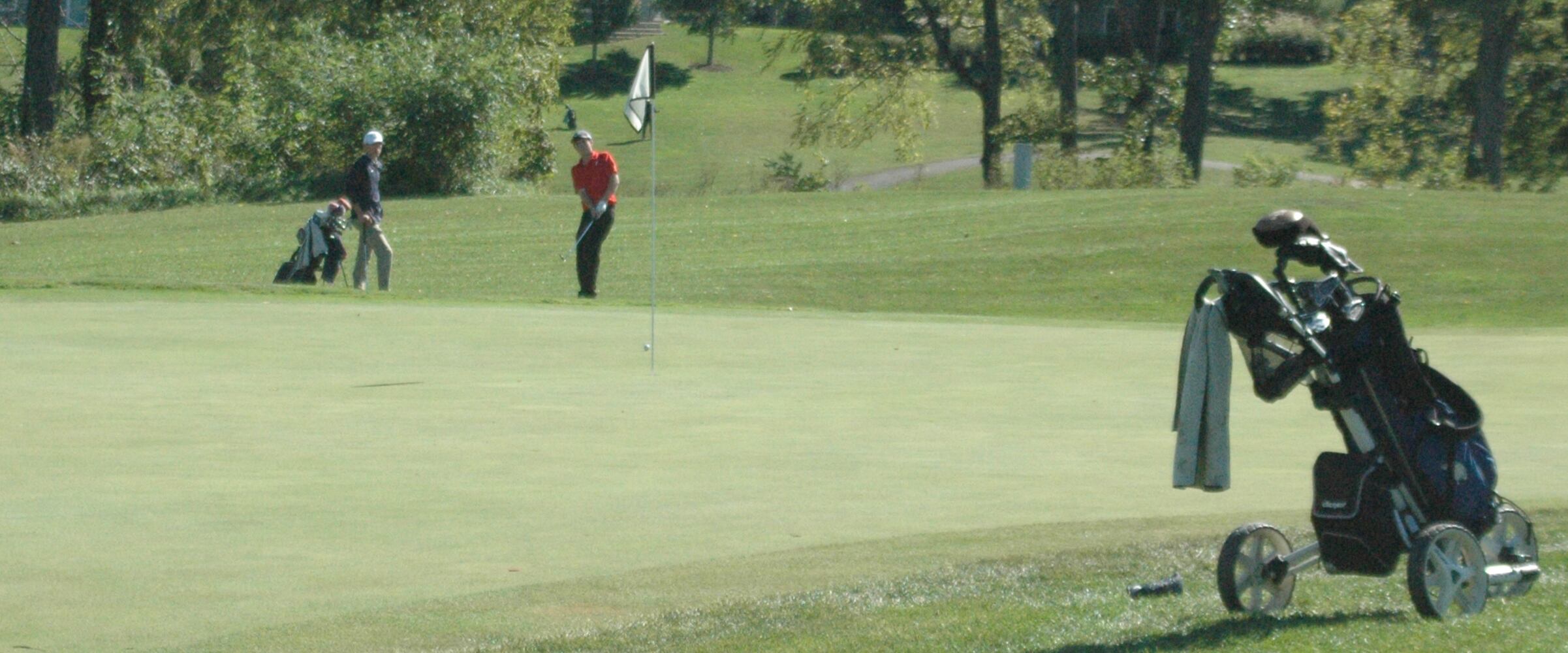 PHOTOS: Division I District Boys Golf Tournament At Beavercreek Golf Club