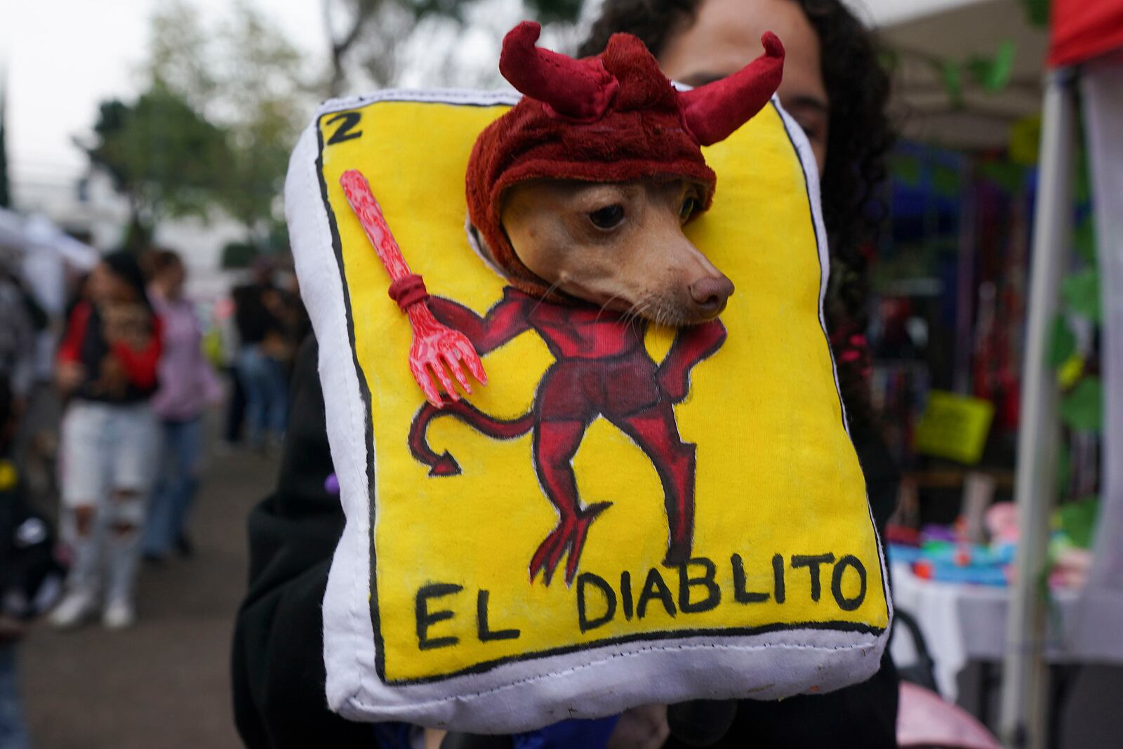 An owner shows off her pet dressed as a Lotería game card during a pet costume contest as part of the Day of the Dead festivities, in Mexico City, Sunday, Oct. 27, 2024. (AP Photo/Fabiola Sanchez)