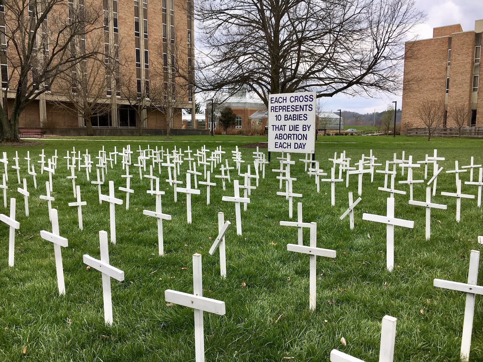 A Miami University student was captured on video recently destroying thid anti-abortion display dt Miami University Hamilton. 