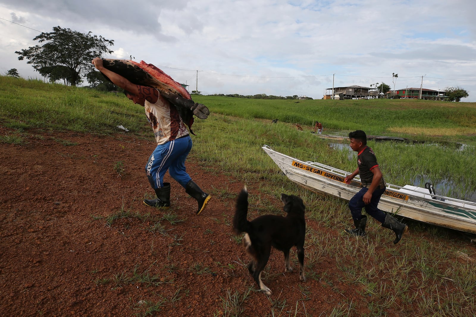 Members of the Mura Indigenous community carry a piece of a slaughtered ox to eat, in the Lago do Soares village, in Autazes, Amazonas state, Brazil, Tuesday, Feb. 18, 2025. (AP Photo/Edmar Barros)