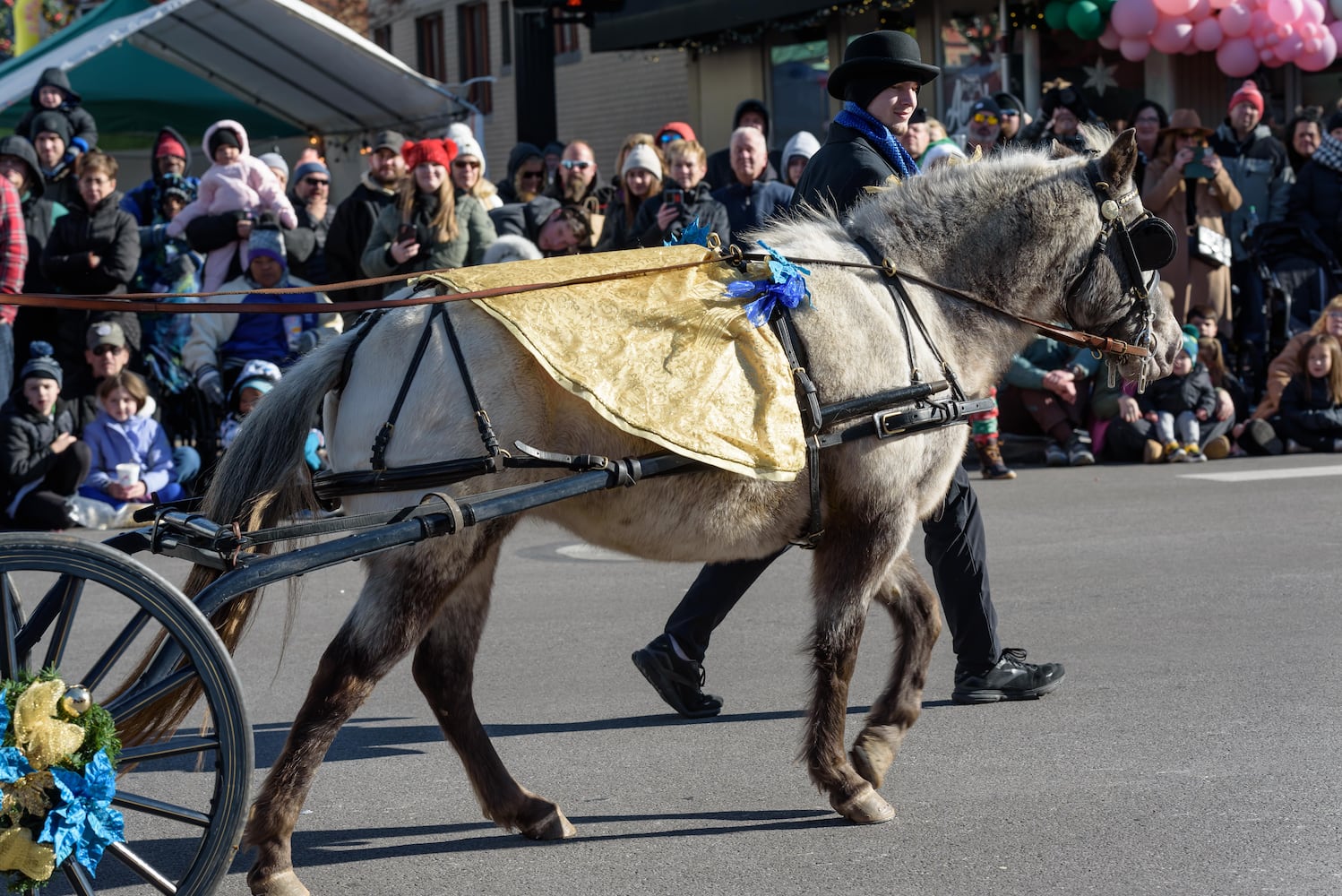 PHOTOS: 35th annual Lebanon Horse-Drawn Carriage Parade & Festival