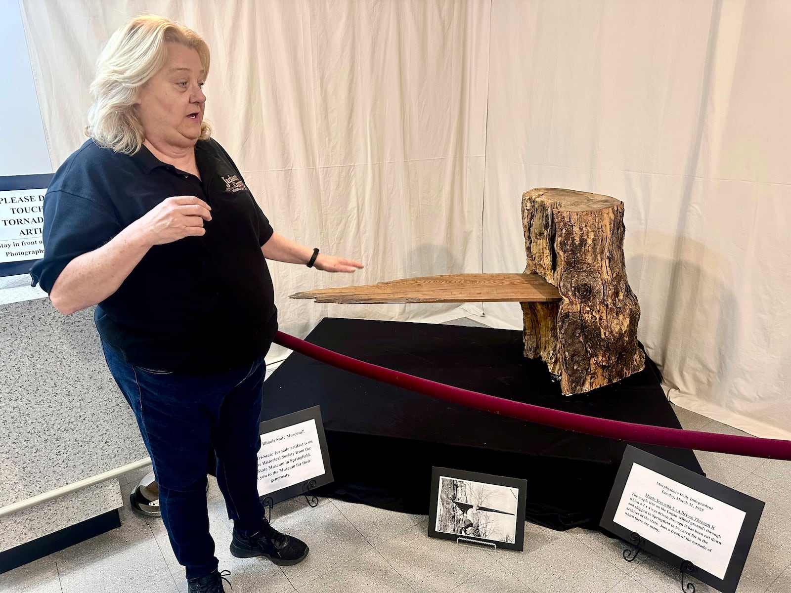 Mary Riseling, coordinator of the commemoration of the 100th anniversary of the March 18 Tri-State Tornado, shows how winds drove a board into the trunk of a maple tree on display at the Jackson County Historical Society on March 11, 2025 in Murphysboro, Ill. (AP Photo/John O'Connor)