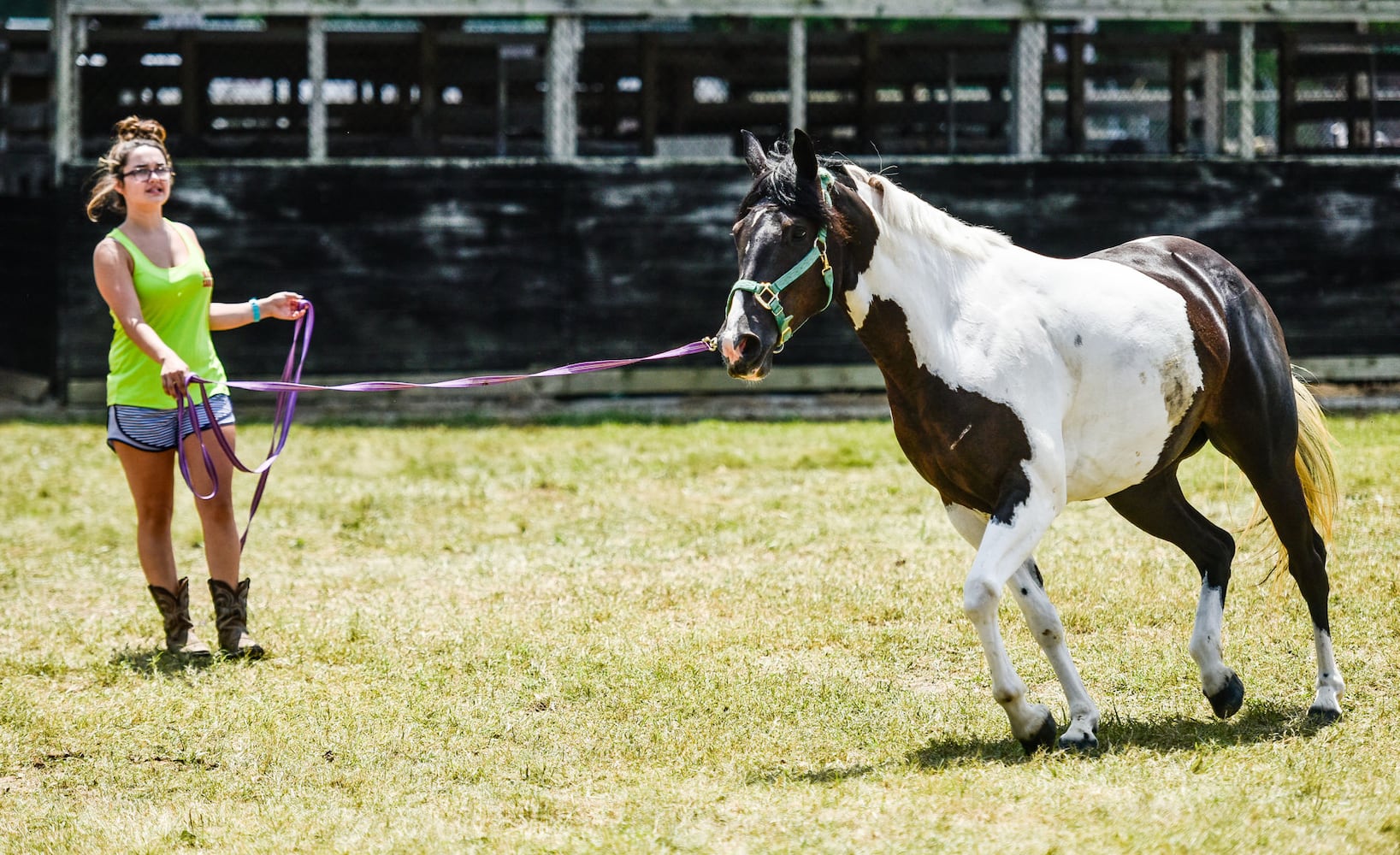 Butler County Fair 2018