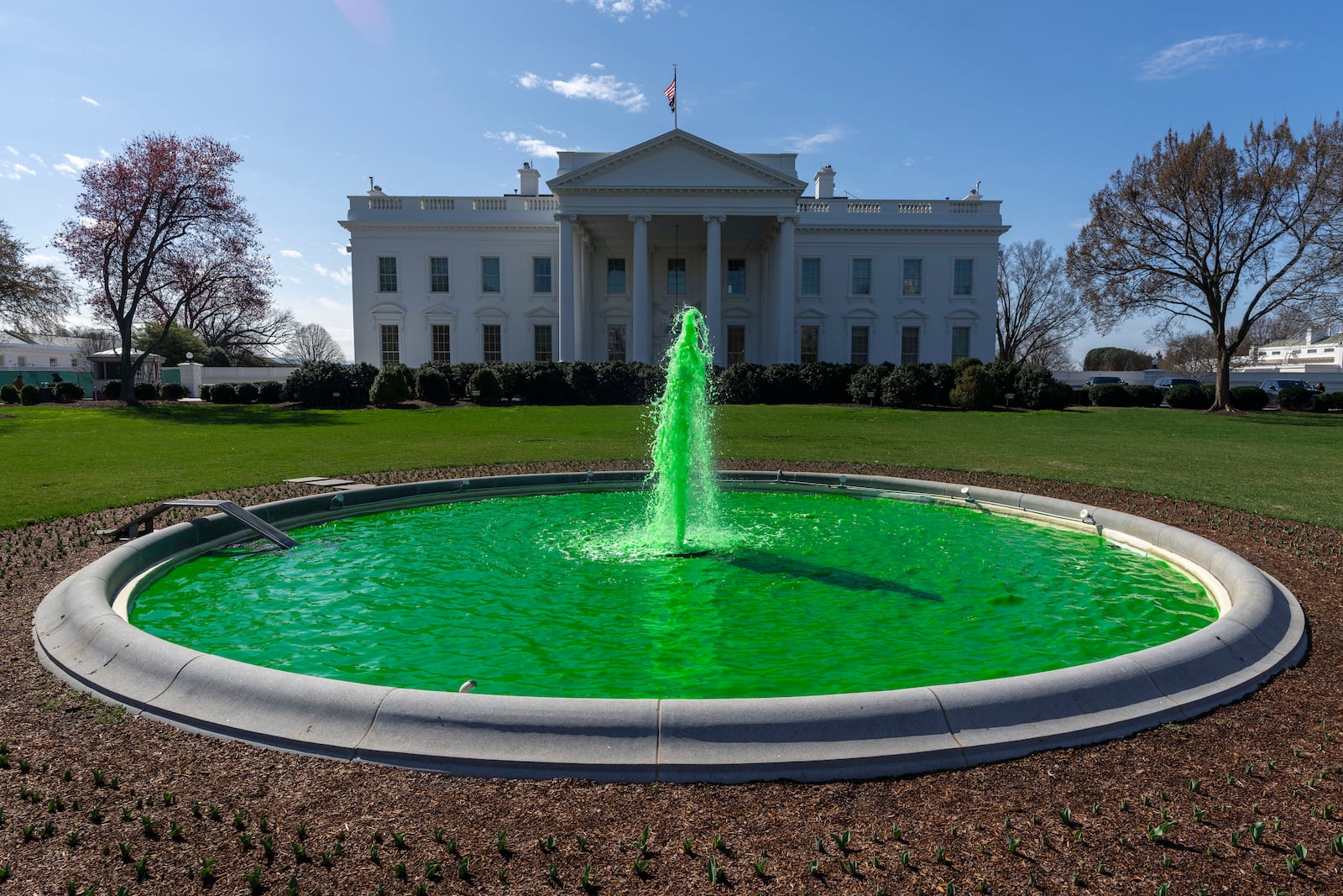 The fountain on the North Lawn of the White House is dyed green for St. Patrick's Day in Washington, Monday, March 17, 2025. (AP Photo/Ben Curtis)