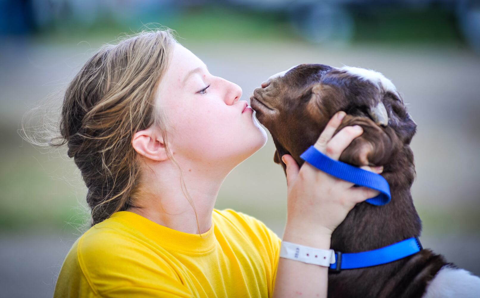 Scenes from the Butler County Fair 2019