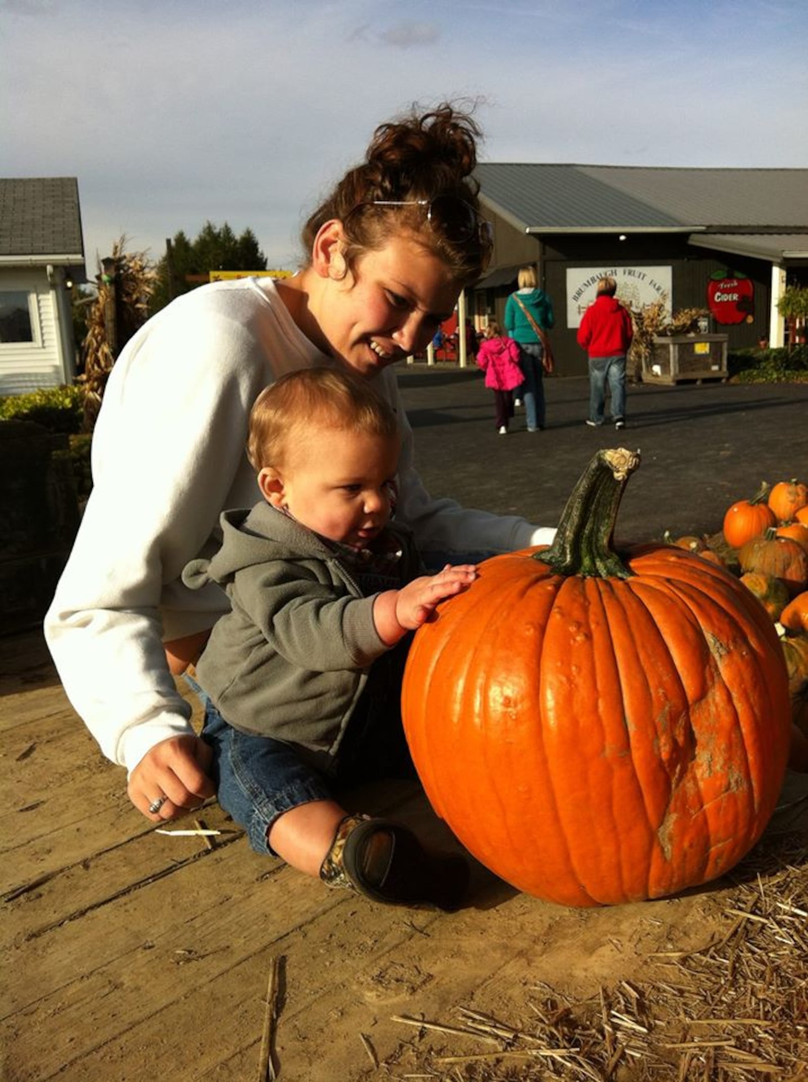 Brumbaugh's Fruit and Fun Farm is the perfect place for a family outting, with over 23 different activities. (Source: Facebook)