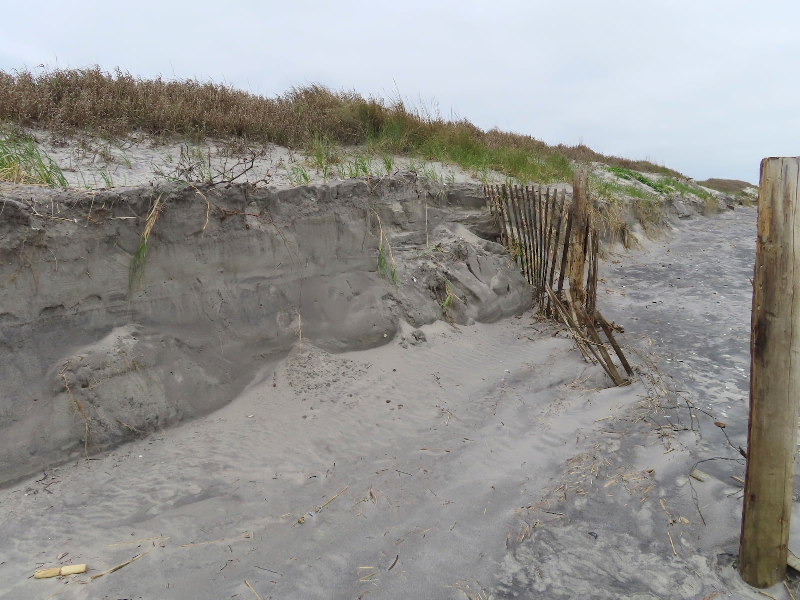 An undeveloped stretch of beach is seen on May 11, 2022, in Brigantine, N.J., where opponents of offshore wind projects worry about adverse affects from construction and operation of the ocean-based turbines. (AP Photo/Wayne Parry)