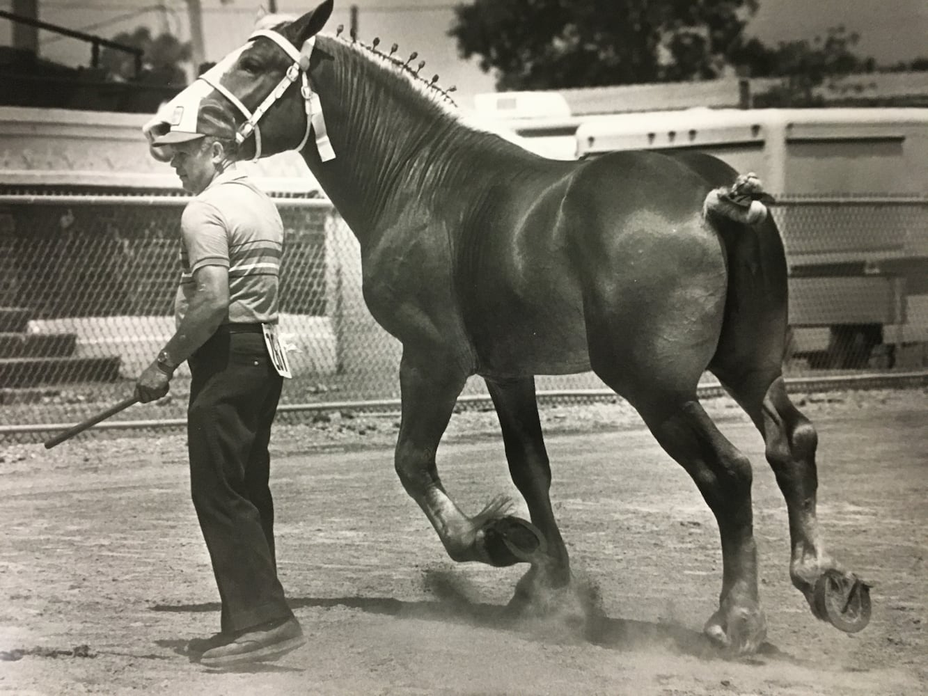 Butler County Fair