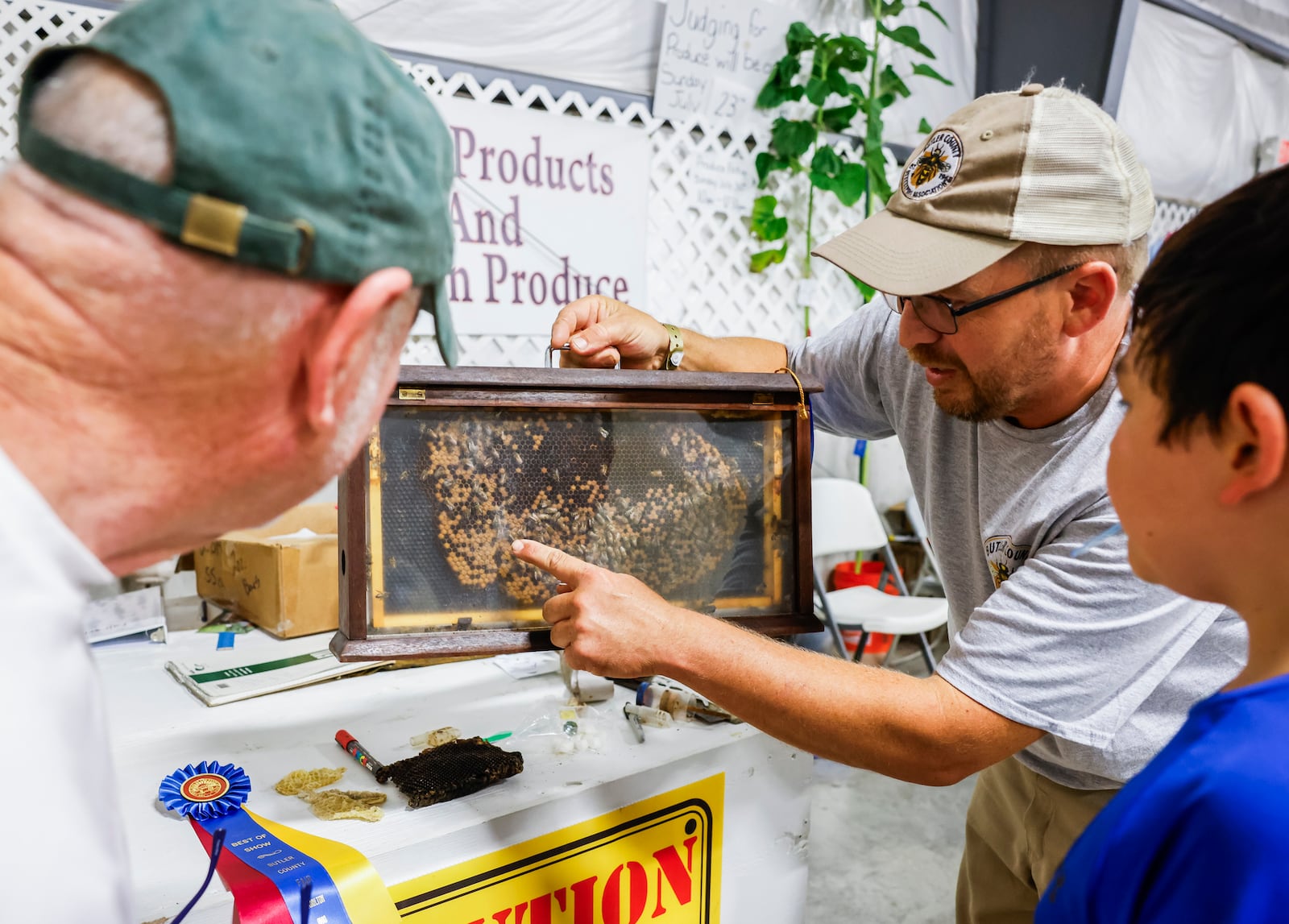 Larry Johnson, president of Butler County Beekeepers Association, right, shows off a live hive at the Butler County Fair Wednesday, July 26, 2023 in Hamiilton. NICK GRAHAM/STAFF