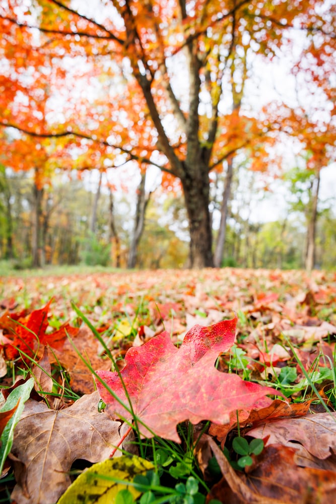 101923 fall colors