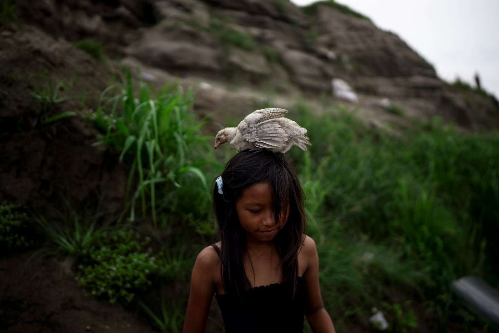 A girl carries a chicken on her head while going down a hill that shows the low level of the Amazon River, in Leticia, Colombia, Monday, Oct. 21, 2024. (AP Photo/Ivan Valencia)