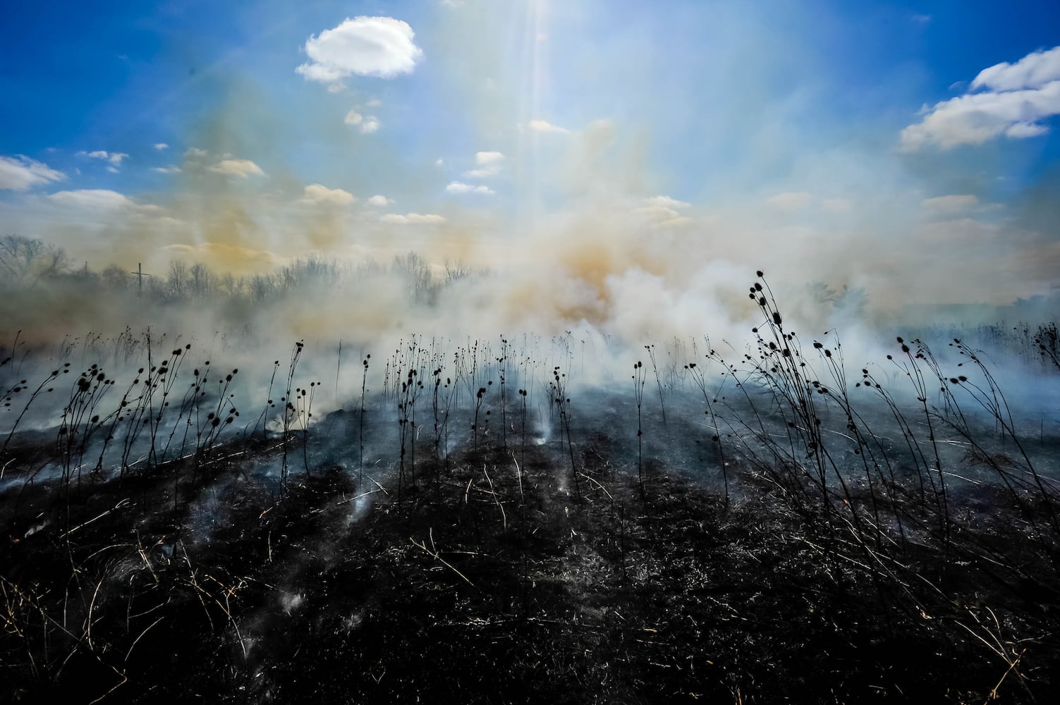 Controlled burns at Riverside Natural Area in Hamilton