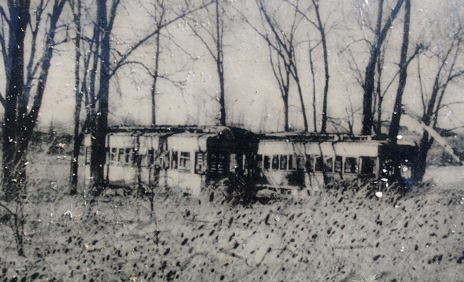 An image of the vintage street cars in the former Argonne Forest Park. The street cars were used as a concession stand, kids to play in and for use as campers over the summer season. During the Great Depression, when housing was scarce, they were rented out as temporary homes. FIVE RIVERS METROPARKS