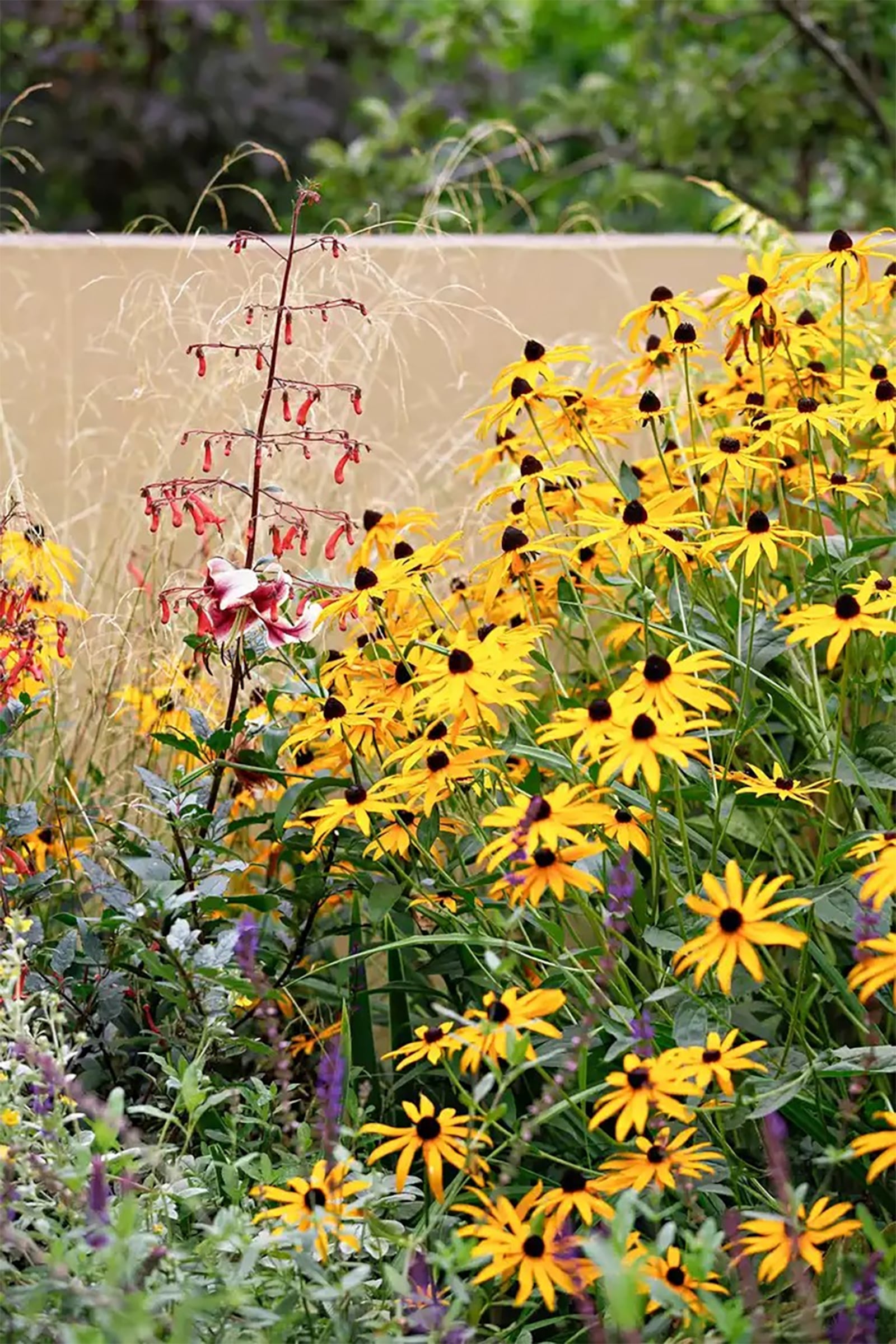 Planting perennials in an outdoor garden result in color year after year. Some need to be divided and pruned, but they offer a great return on investment.