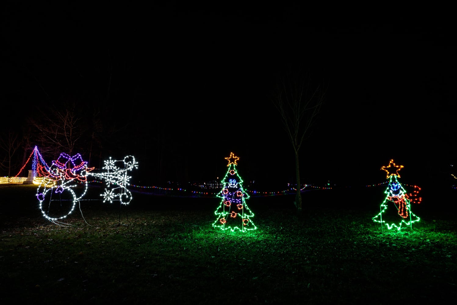 PHOTOS: Fort Saint Clair Whispering Christmas light display in Eaton