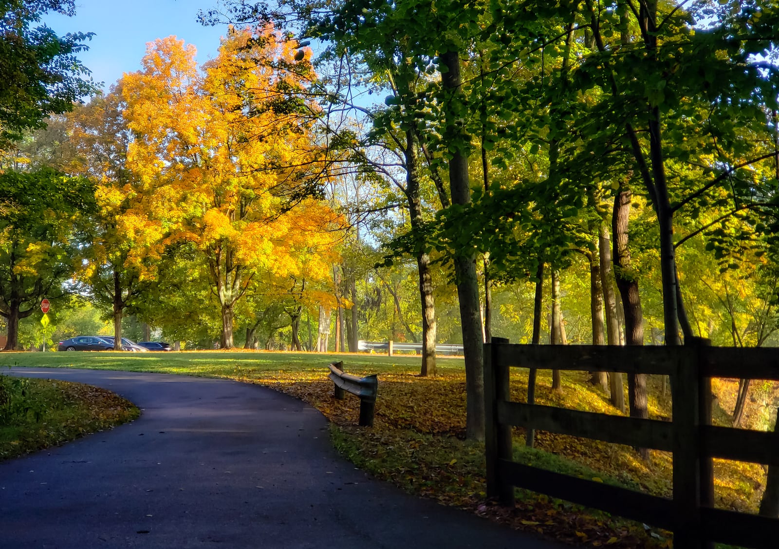 Leaves on trees around Butler County are turning colors in Fall of 2020. This is Rentschler Forest MetroPark situated along the bank of the Great Miami River. NICK GRAHAM / STAFF