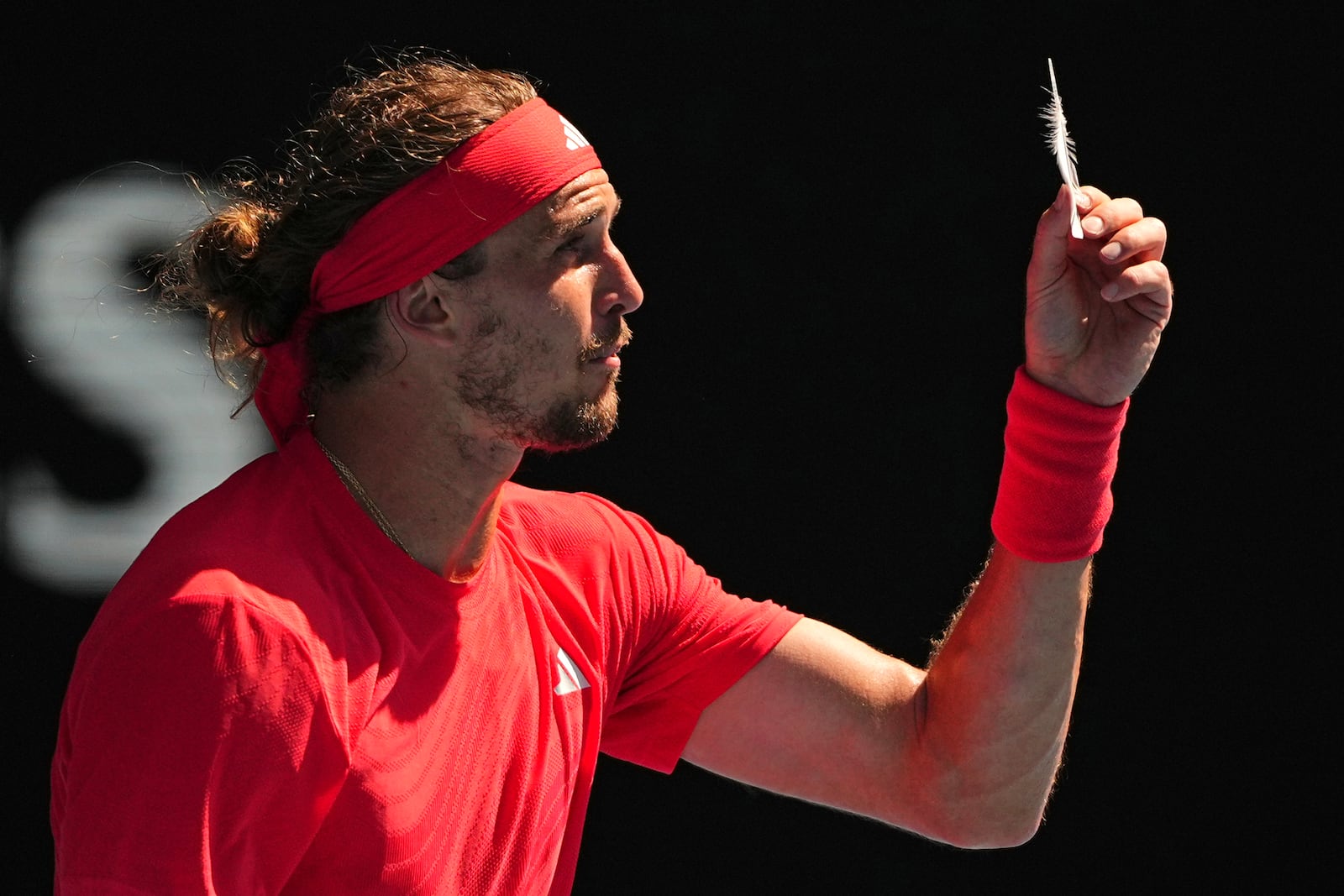 Alexander Zverev of Germany reacts as he holds a feather during his quarterfinal match against Tommy Paul of the U.S. during their quarterfinal match at the Australian Open tennis championship in Melbourne, Australia, Tuesday, Jan. 21, 2025. (AP Photo/Vincent Thian)