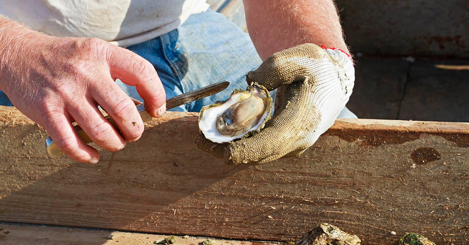 WHAT: Oysters - When eaten raw, certain health risks arise especially Vibriosis, an intestinal disease caused by small bacteria.