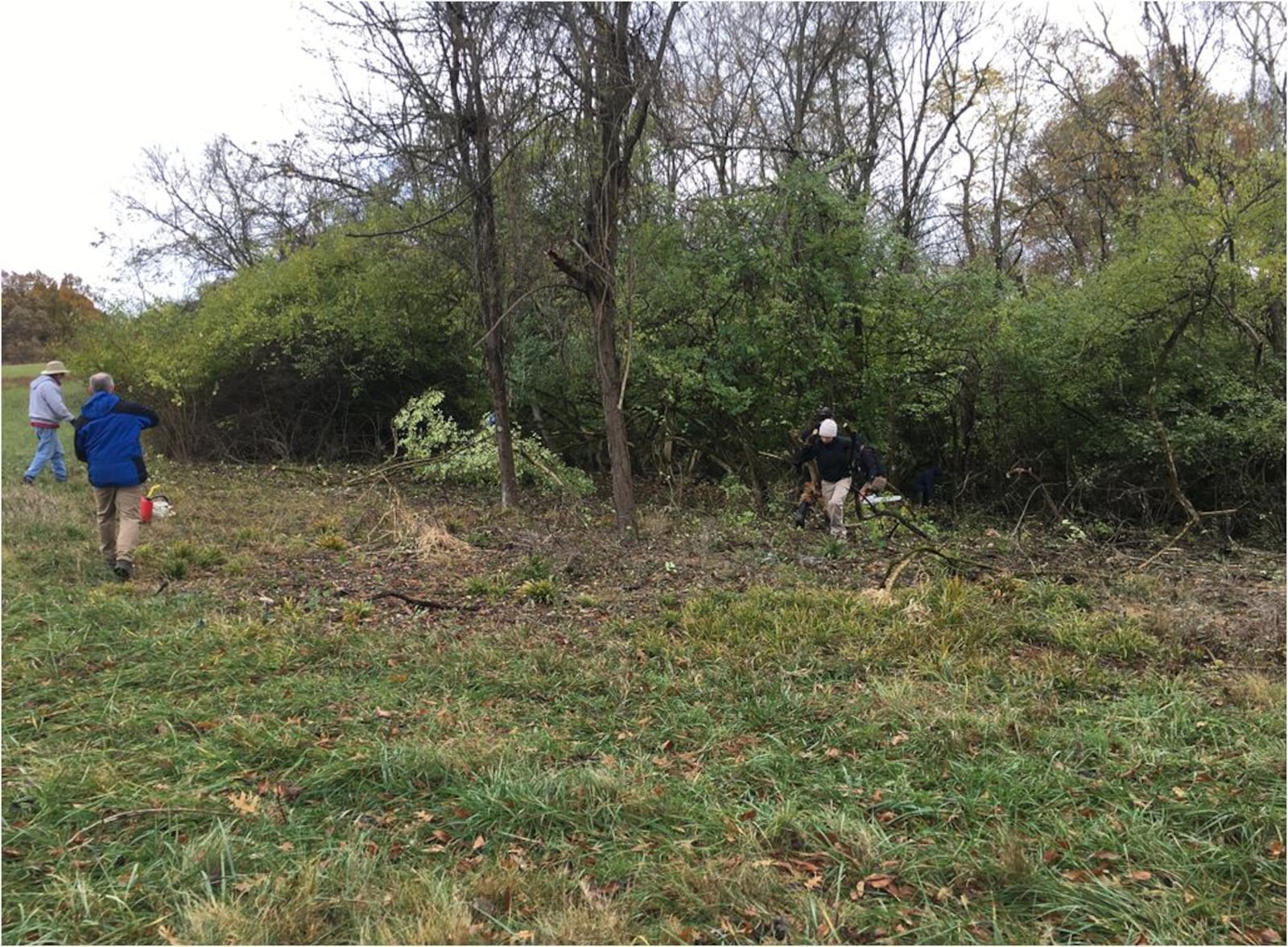 Volunteers in recent months have cleared honeysuckle and other vegetation from areas around the Native American mounds in Ross Township that have been known as Fortified Hill since the early 1800s. Experts believe small ponds there were important to the ceremonial location. PROVIDED