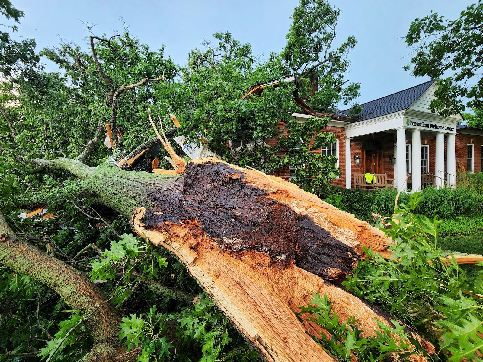 A building at the Forest Run MetroPark was greatly damaged when severe weather moved through Ross and Hamilton and a giant tree fell on a building there. NICK GRAHAM/STAFF