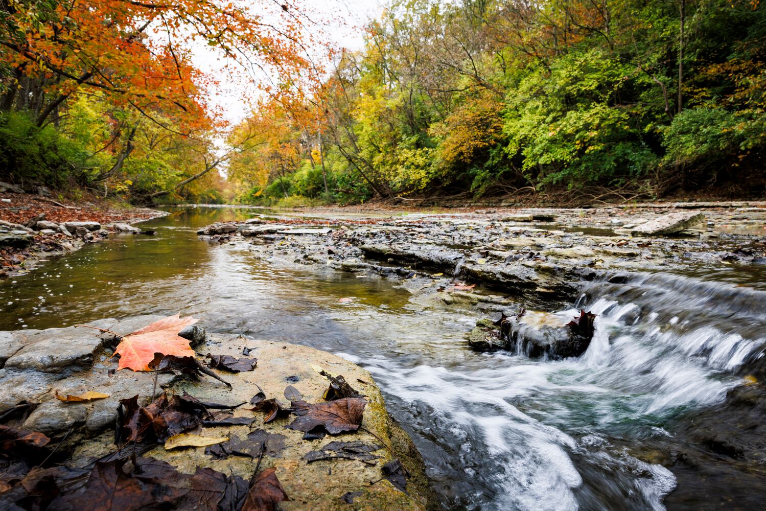 101923 fall colors