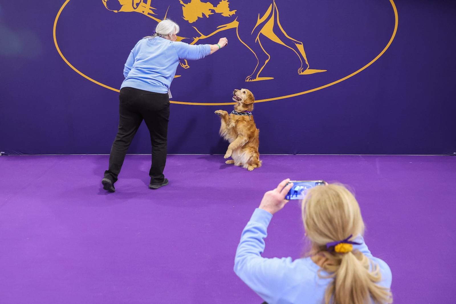 Colleen Swierkocki takes a photo of Diane Stenberg and her golden retriever, Brook, at the 149th Westminster Kennel Club Dog show, Saturday, Feb. 8, 2025, in New York. (AP Photo/Heather Khalifa)