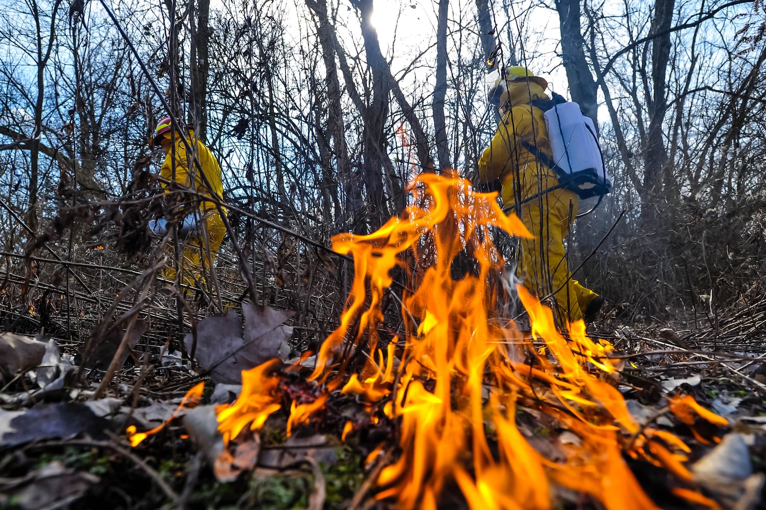 Controlled burns at Riverside Natural Area in Hamilton