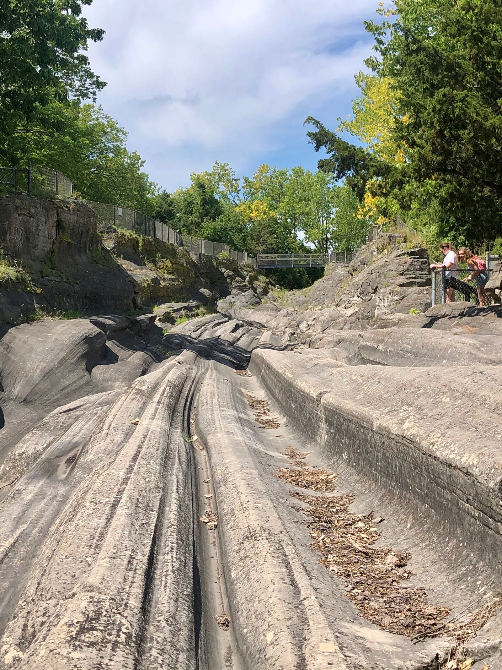 Visitors can explore the perimeter of the Glacial Grooves — measuring in at 400-feet long, 35-feet wide, and up to 10-feet deep — that were formed by an ice sheet that covered parts of North America about 18,000 years ago. DEBBIE JUNIEWICZ/CONTRIBUTED