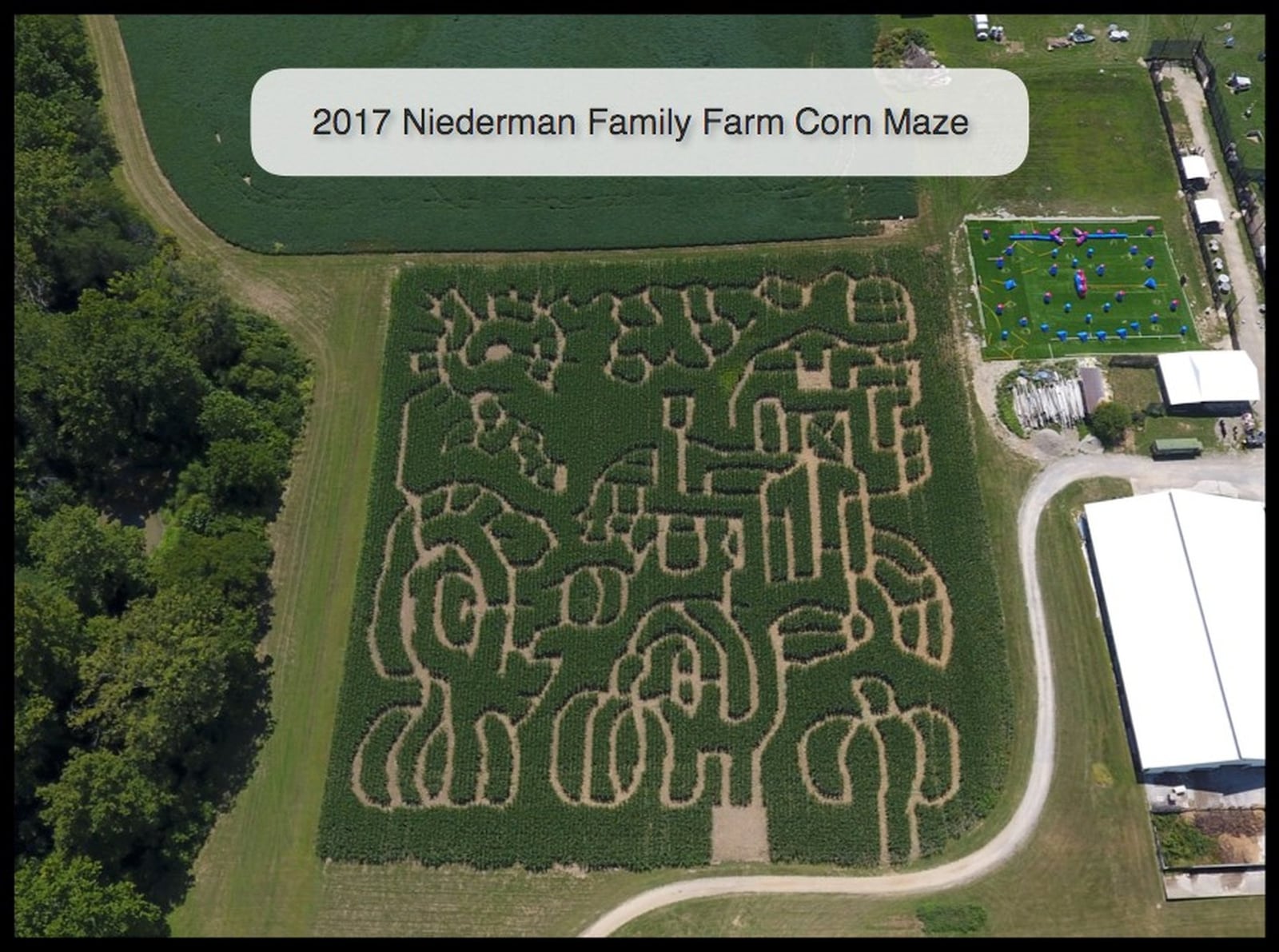 Niederman Family Farm has moved the location of the corn maze to its beautiful “back 40.” This picturesque area of the farm will give you a beautiful view of the woods and Gregory Creek. CONTRIBUTED