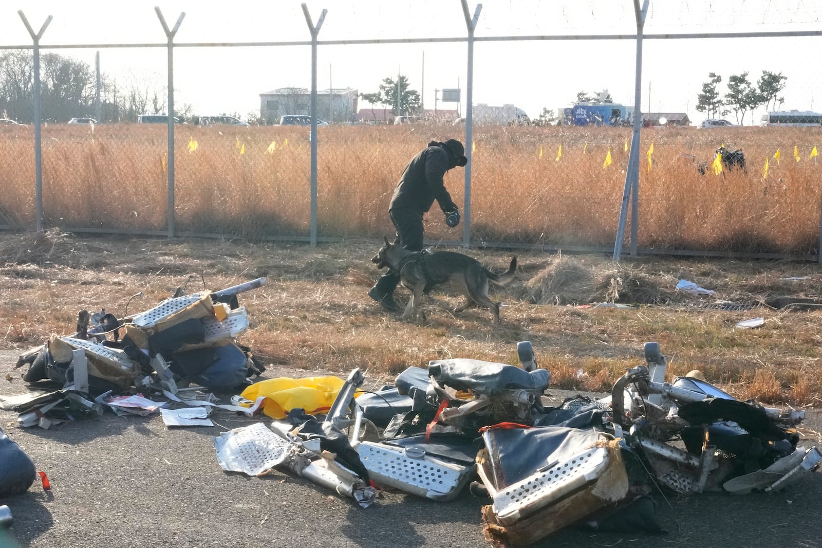 A police officer works with a dog outside of Muan International Airport in Muan, South Korea, Monday, Dec. 30, 2024. (AP Photo/Ahn Young-joon)