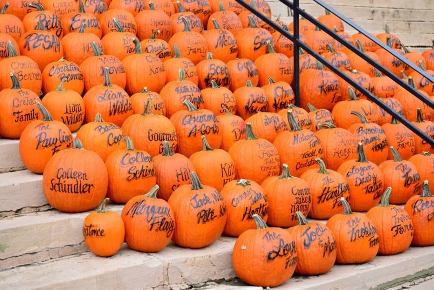 PHOTOS Operation Pumpkin through the years.