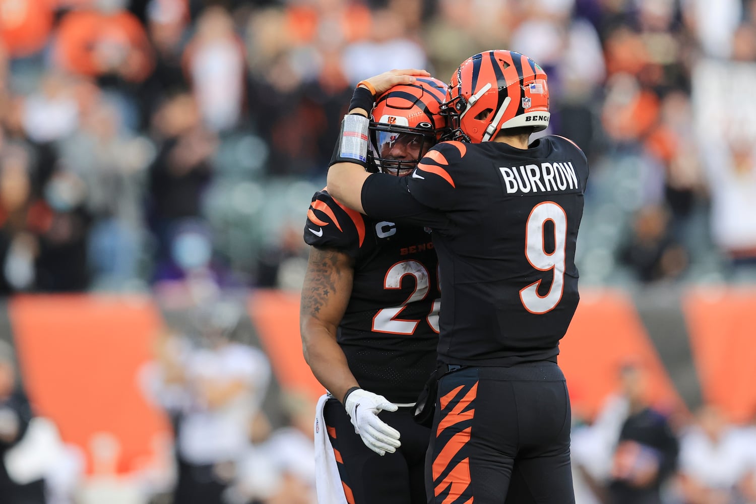 Ravens Bengals Football