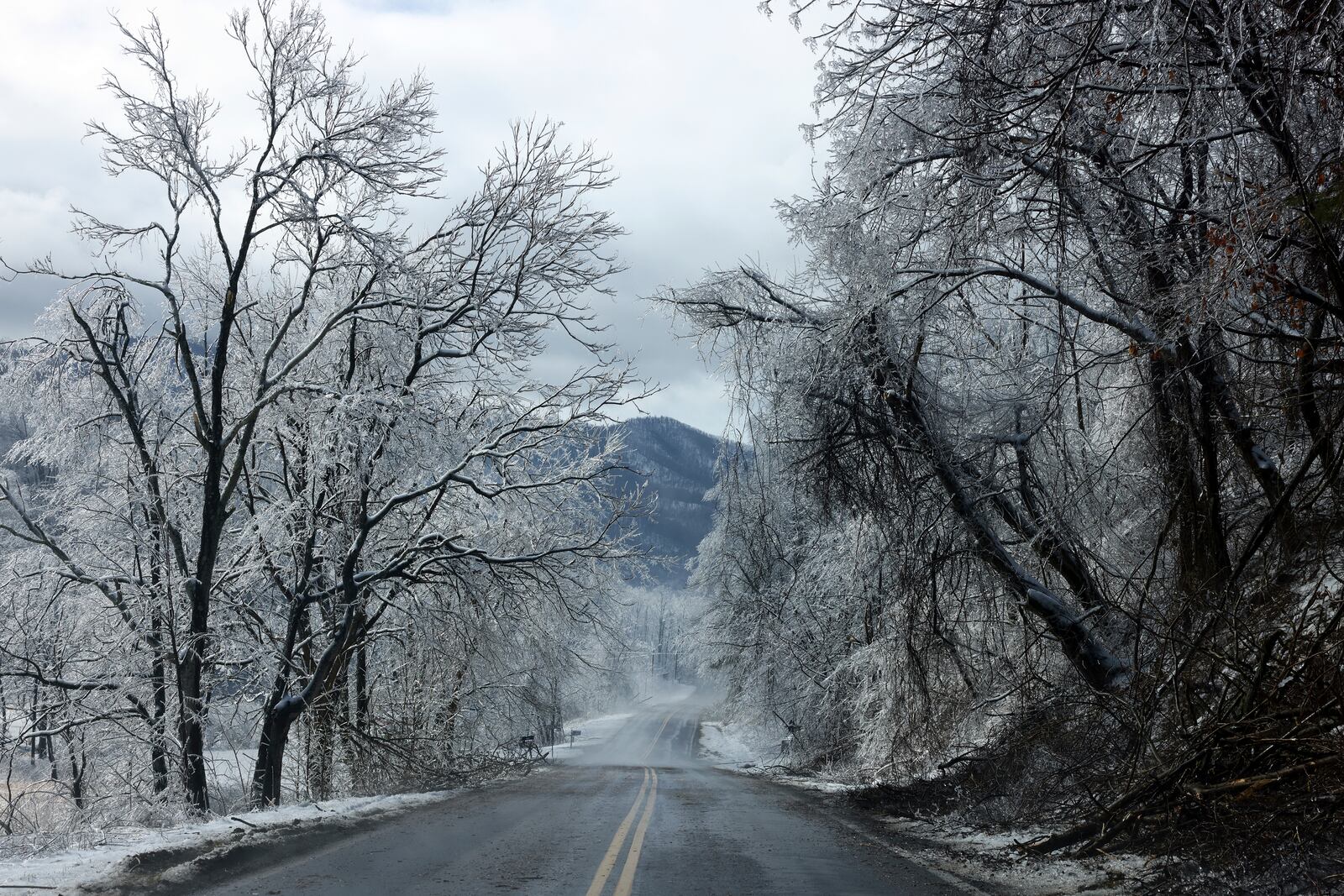 Drooping branches frame a road in Franklin County, Va., after a winter storm affected the area Thursday, Feb. 13, 2025. (Heather Rousseau