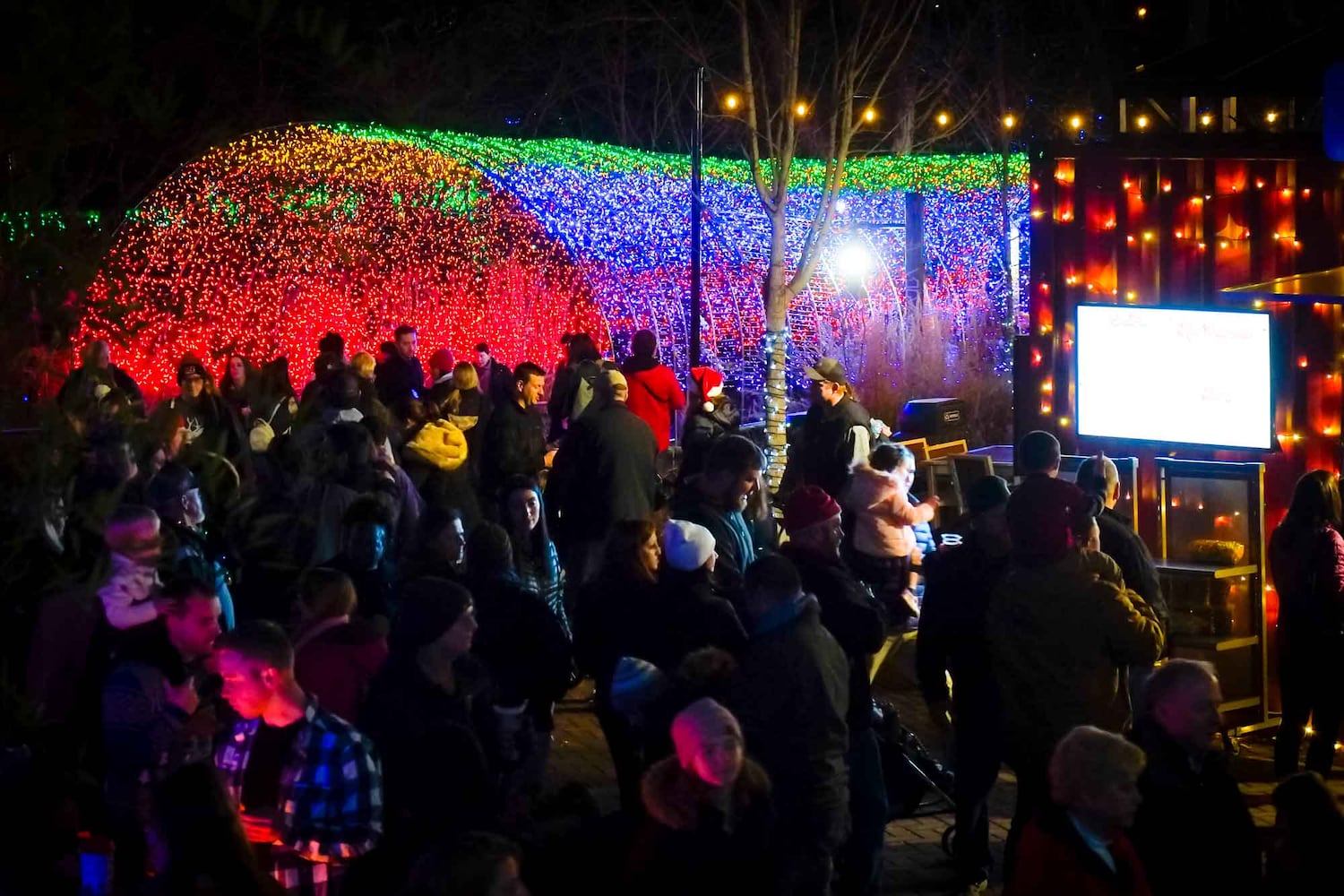 PHOTOS Cincinnati Zoo Festival of Lights 2019