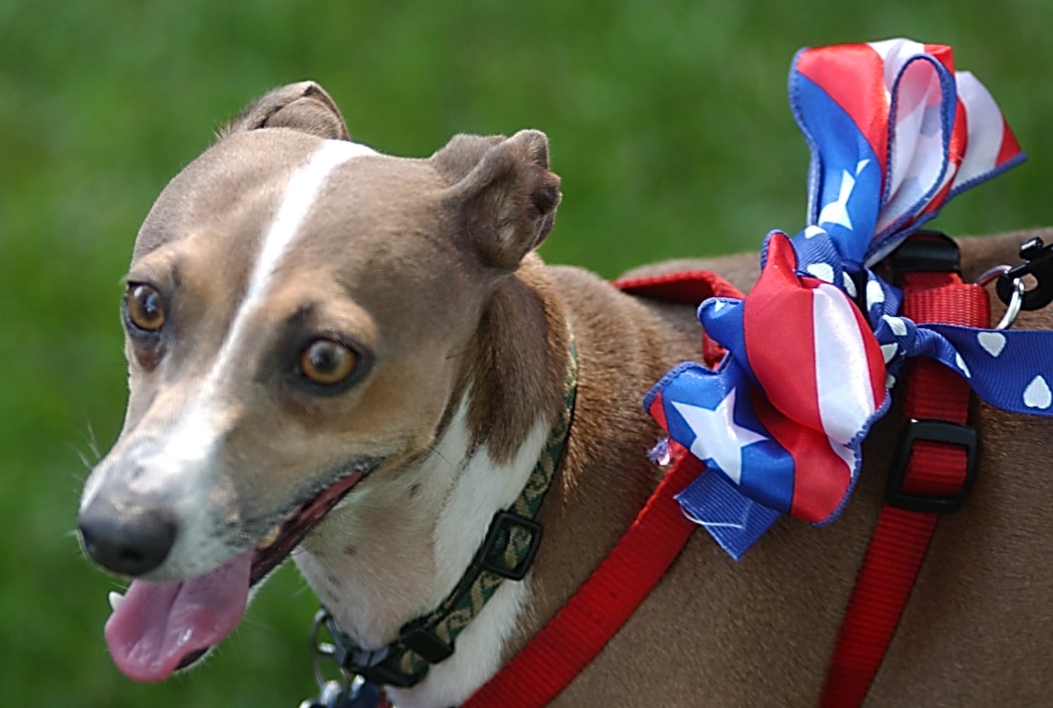 PHOTOS: Past memorial day parades in Butler and Warren counties