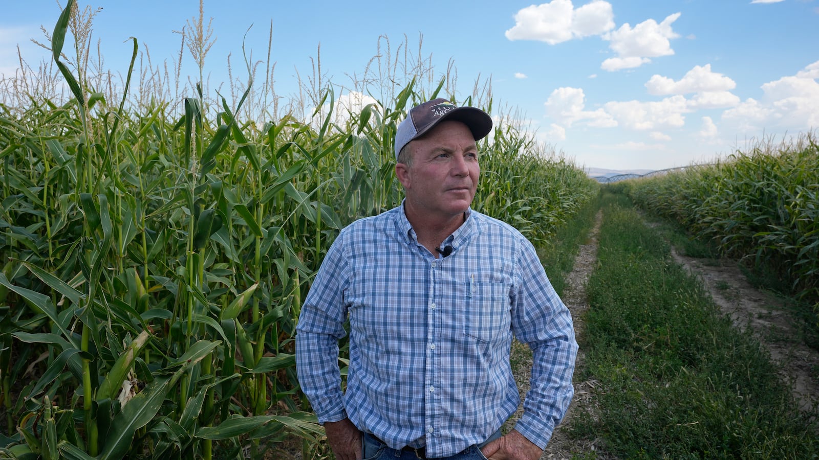 Tom Baker, co-owns the Baker ranch with his two brothers, stands in a field on the Baker Ranch Monday, Sept. 9, 2024, in Baker, Nevada. (AP Photo/Rick Bowmer)