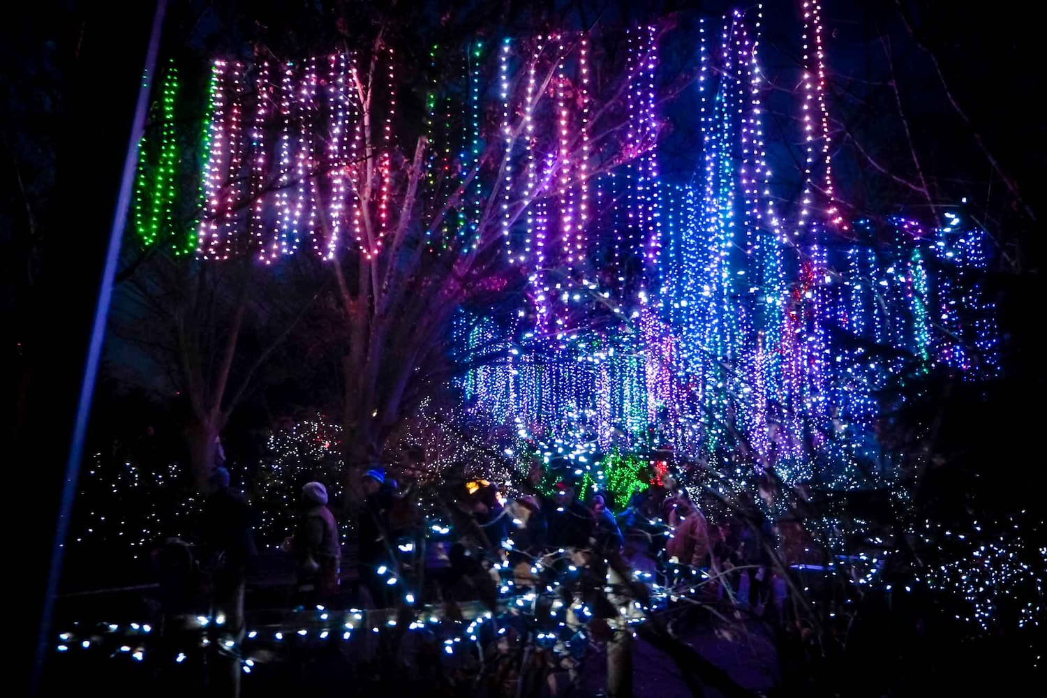 PHOTOS Cincinnati Zoo Festival of Lights 2019